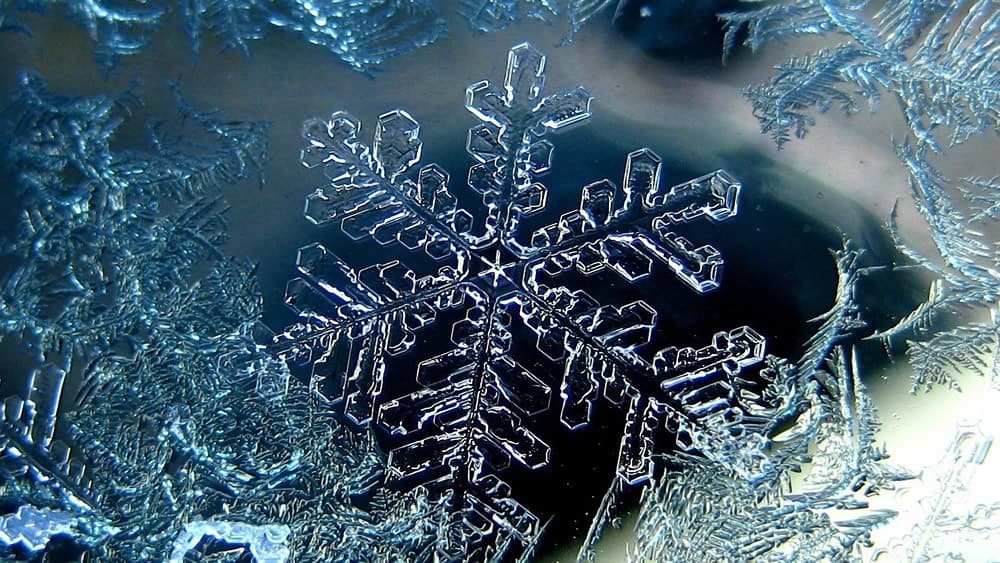 snowflake wallpaper