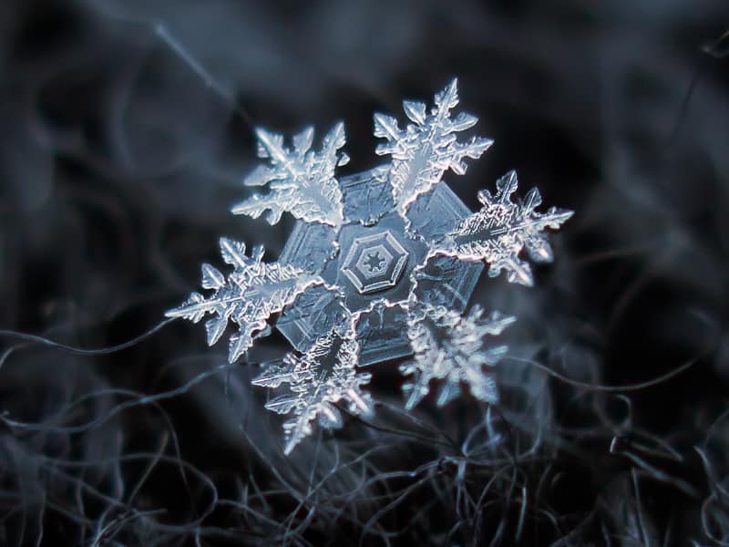 Alexey Kljatov Snowflakes