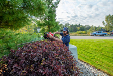 Shrub & Tree Pruning